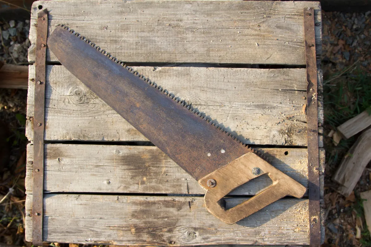 Close-up of a vintage Disston hand saw medallion showing eagle logo and manufacturer markings